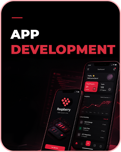 Raspberry IT Services